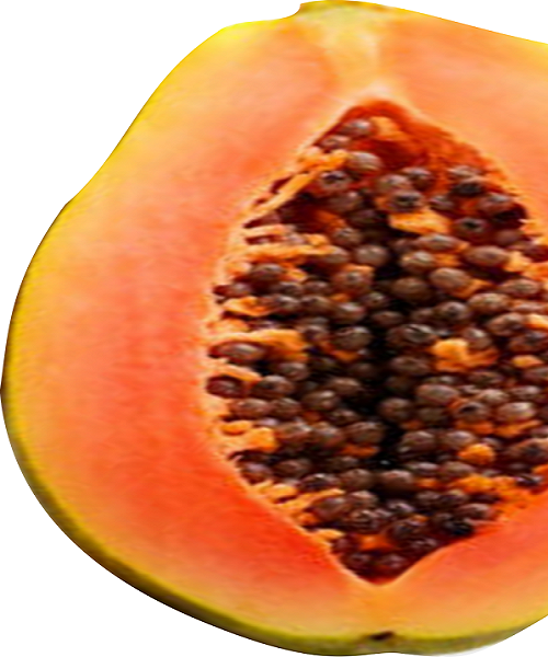 Te Latte Café - Cápsulas de Carica papaya (PAPAINA) Te Latte CaféCápsulas de Carica papaya (PAPAINA)